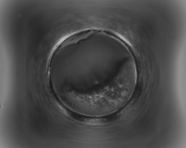 X0000086081367200703301119