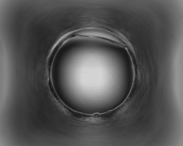 X0000086081368200703301119