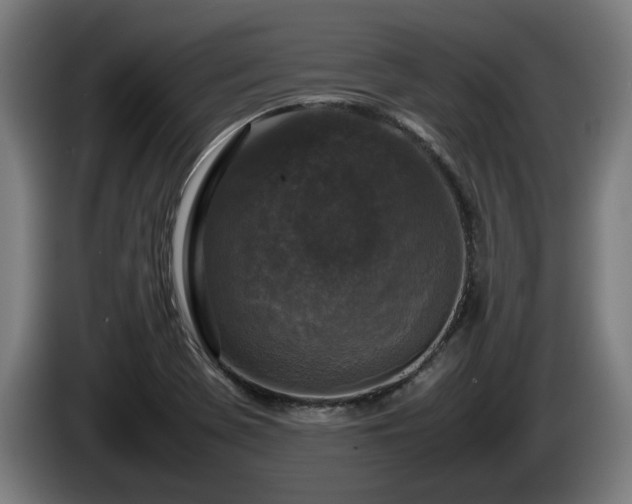 X0000086081369200703301119