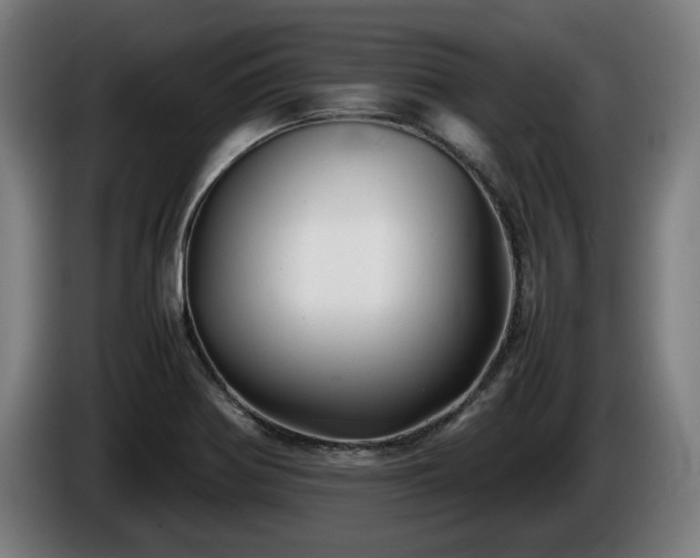 X0000086081370200703301119