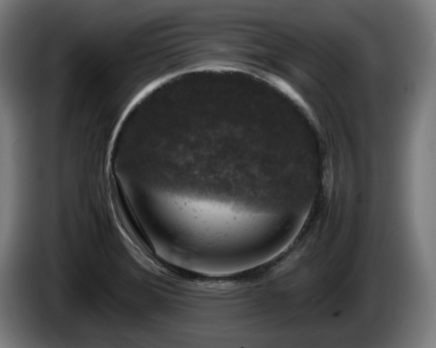 X0000086081372200703301119