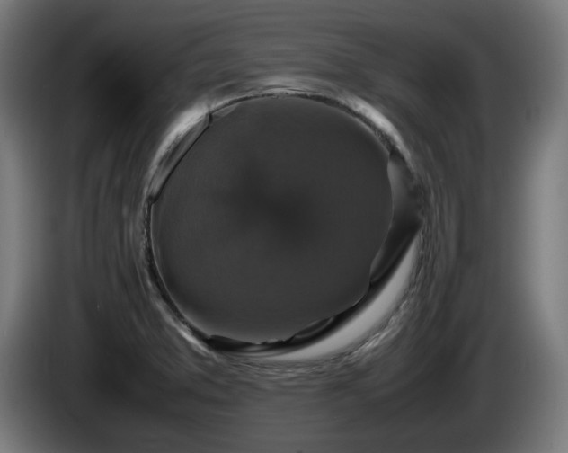 X0000086081373200703301119