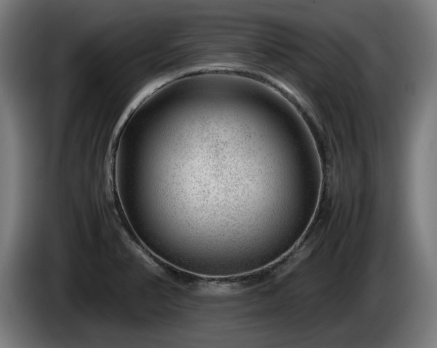 X0000086081374200703301119