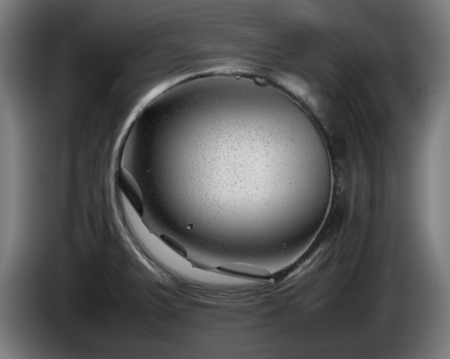 X0000086081375200703301119