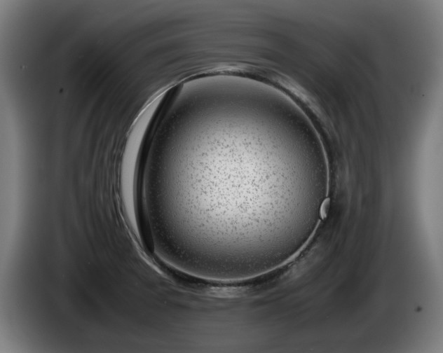 X0000086081377200703301119