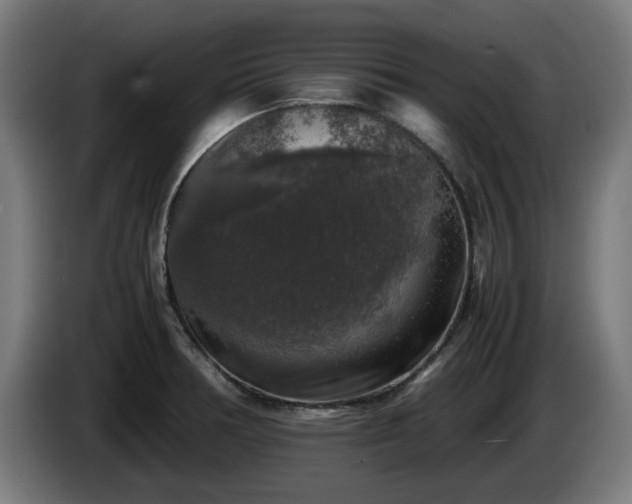 X0000086081378200703301119