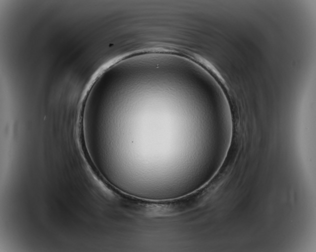 X0000086081379200703301118