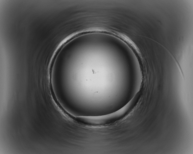 X0000086081380200703301118