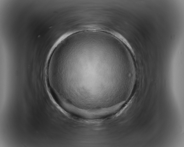 X0000086081381200703301118