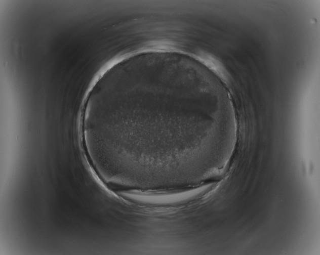 X0000086081382200703301118