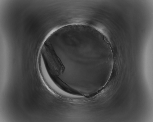 X0000086081383200703301118