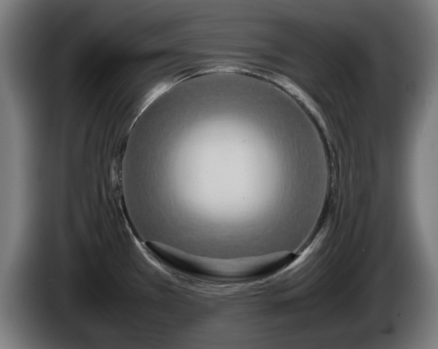 X0000086081385200703301118