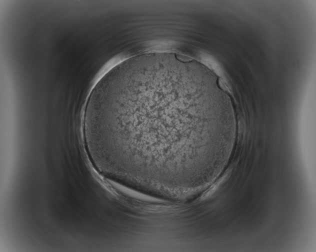 X0000086081386200703301118