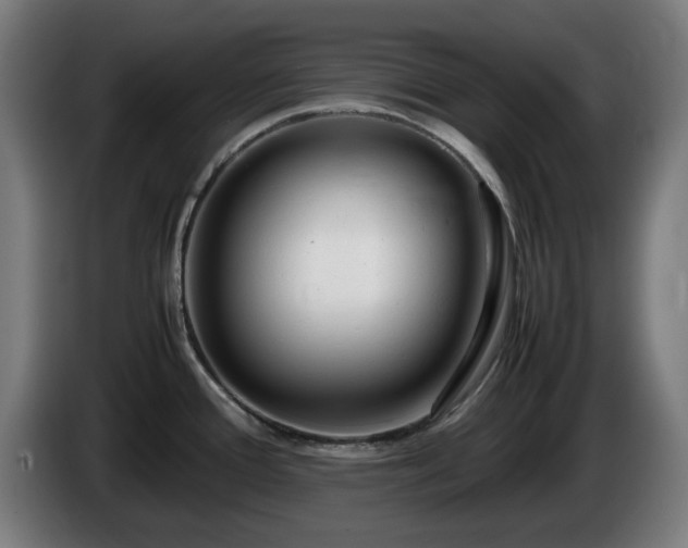 X0000086081388200703301118