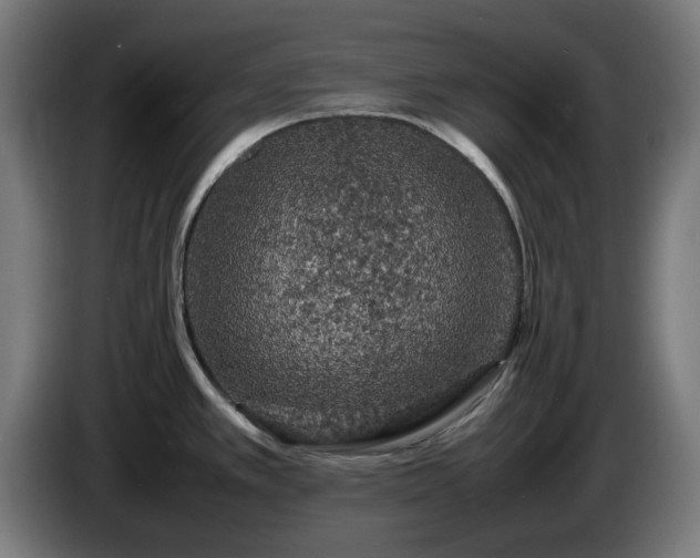 X0000086081389200703301118