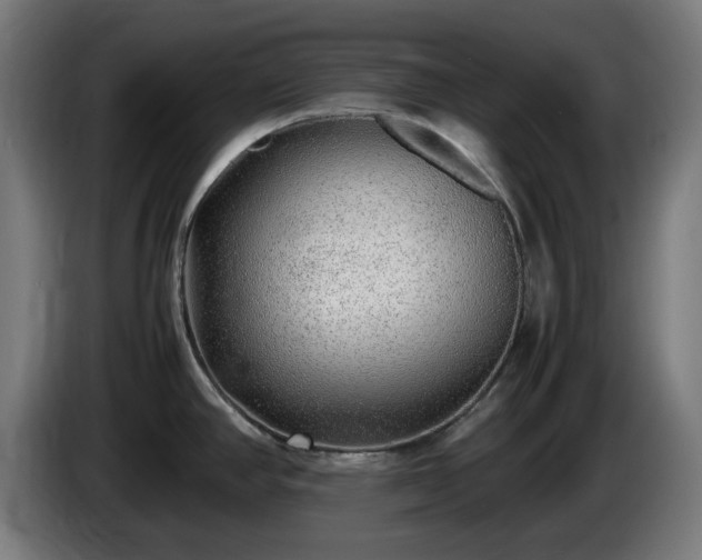 X0000086081390200703301118