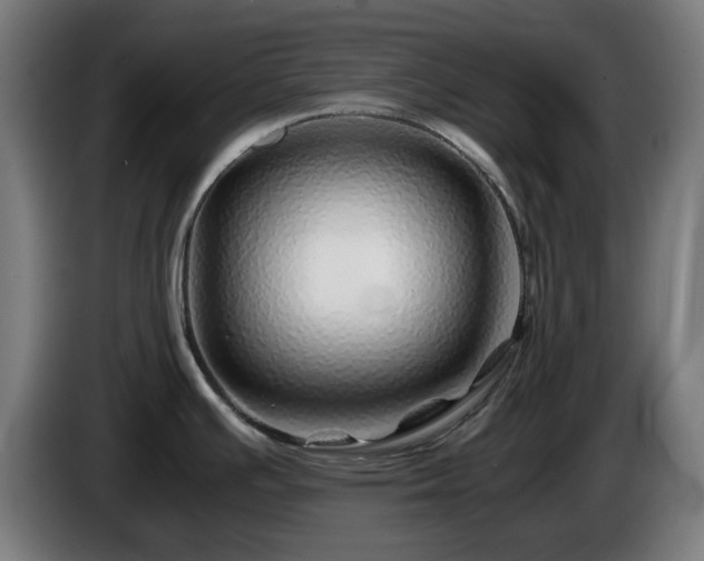 X0000086081391200703301118