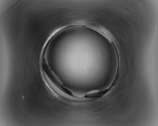 X0000086081392200703301118