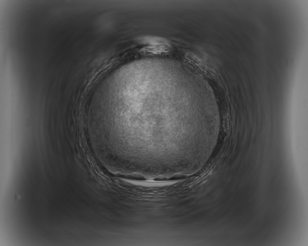 X0000086081393200703301118