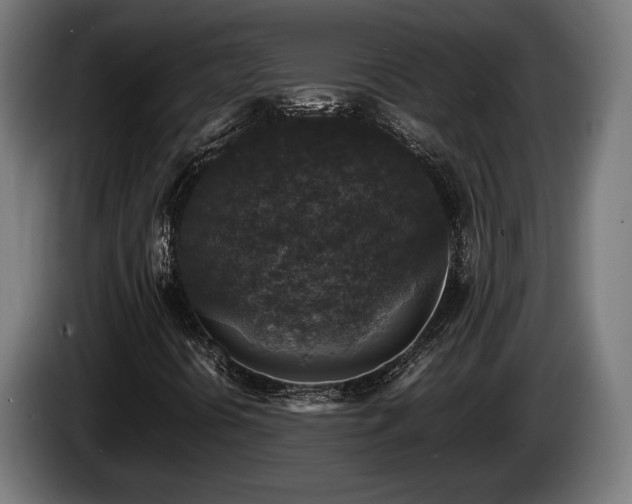 X0000086081394200703301118