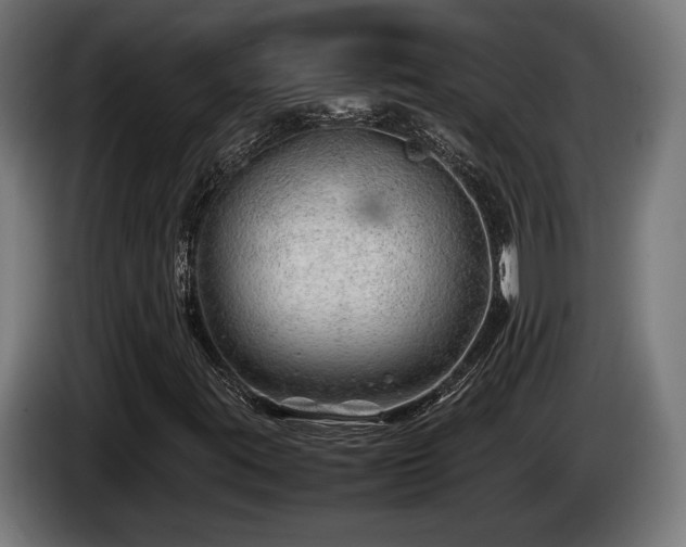 X0000086081395200703301118