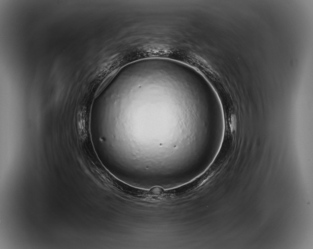 X0000086081396200703301118