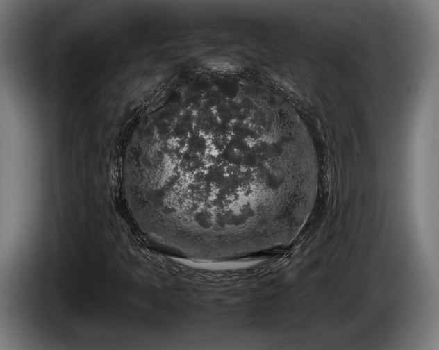 X0000086081397200703301118