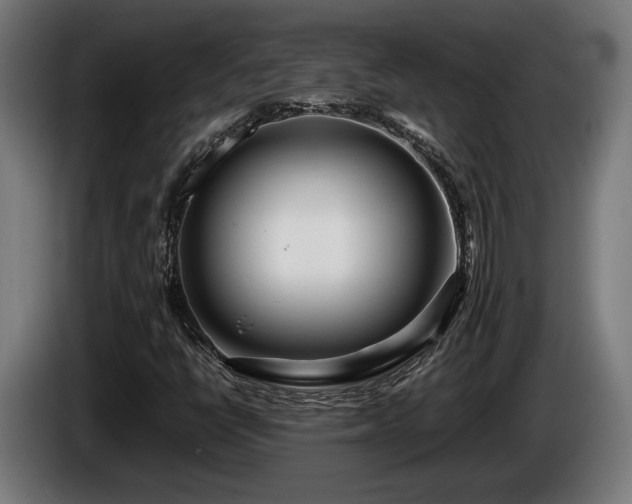 X0000086081398200703301118