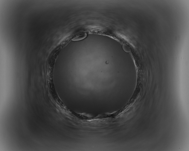 X0000086081399200703301118