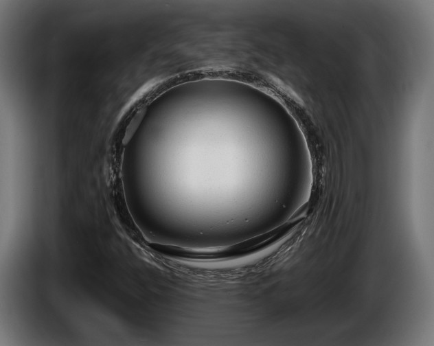 X0000086081400200703301118