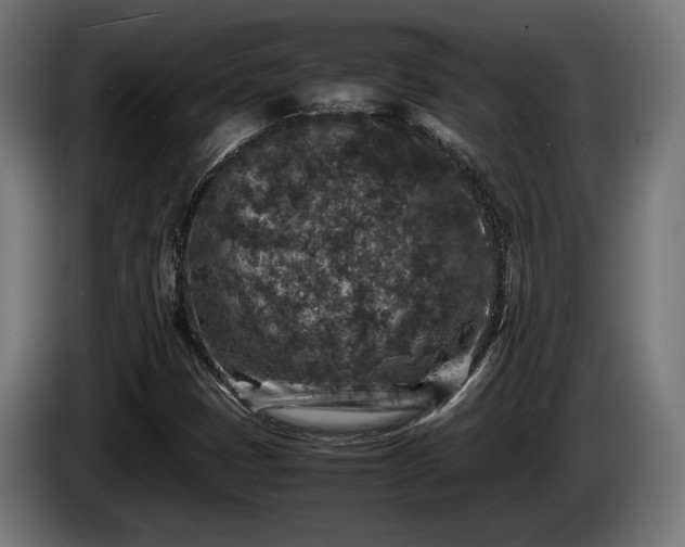 X0000086081401200703301118