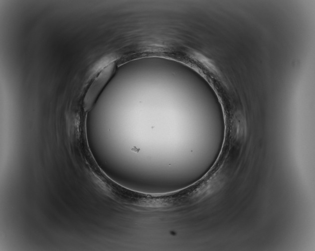 X0000086081402200703301118