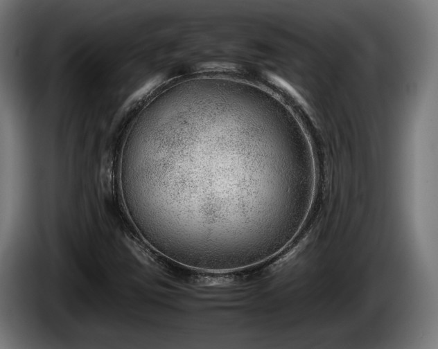 X0000086081403200703301118