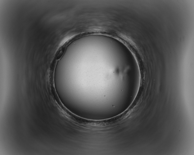 X0000086081404200703301118