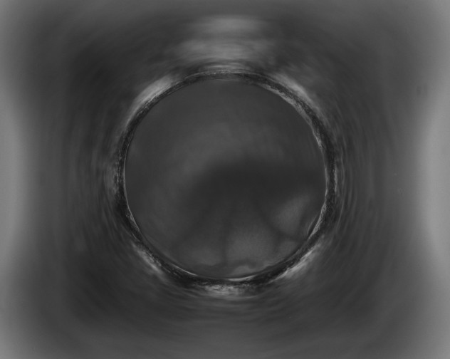 X0000086081405200703301118