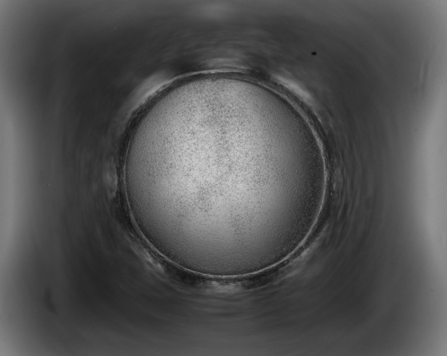 X0000086081407200703301118