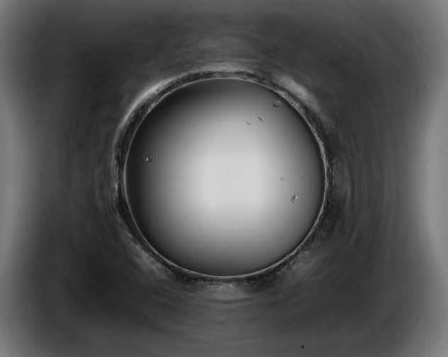 X0000086081408200703301118