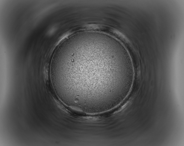 X0000086081409200703301118