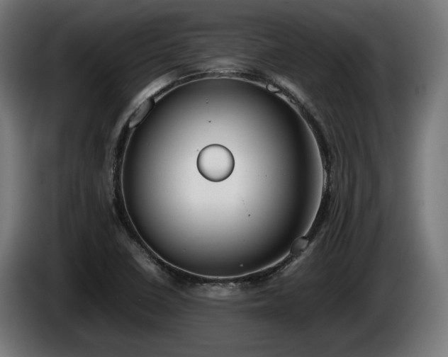 X0000086081410200703301118