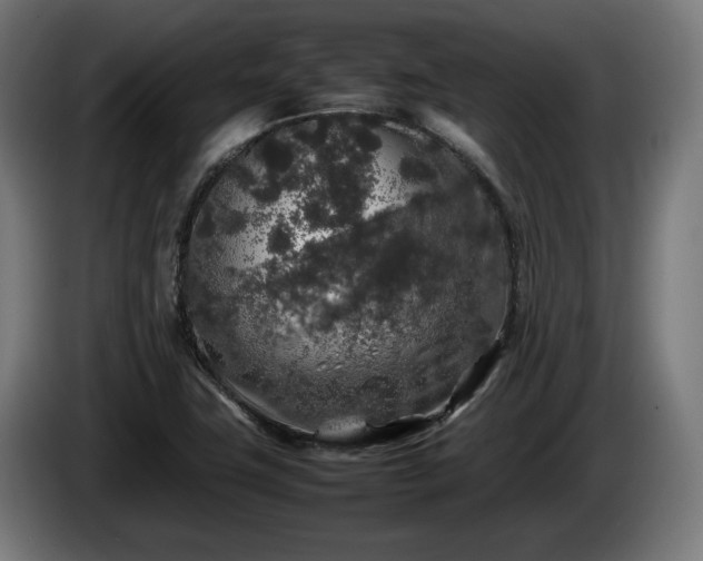 X0000086081411200703301118