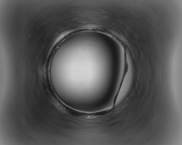 X0000086081412200703301118