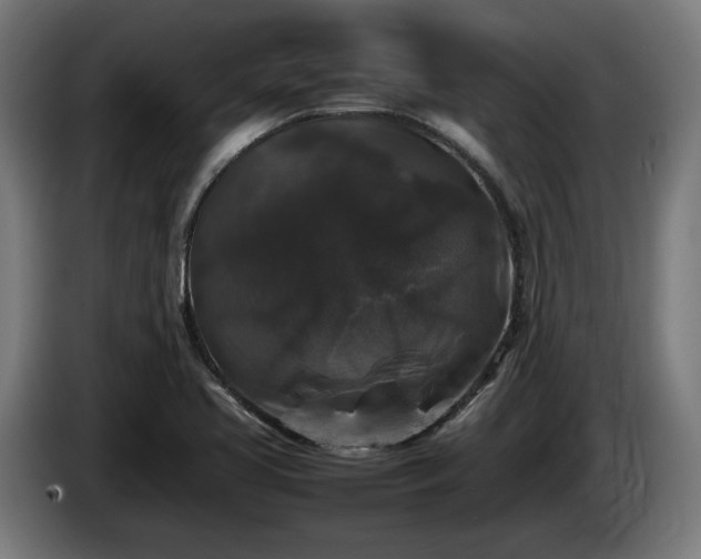 X0000086081413200703301118