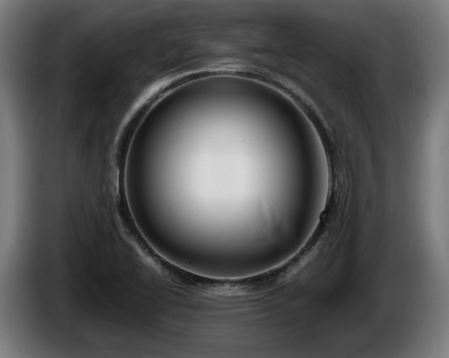 X0000086081414200703301118