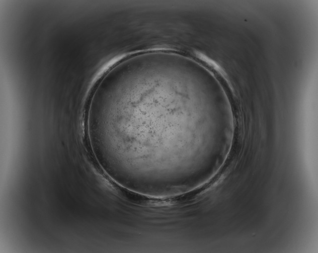 X0000086081415200703301118