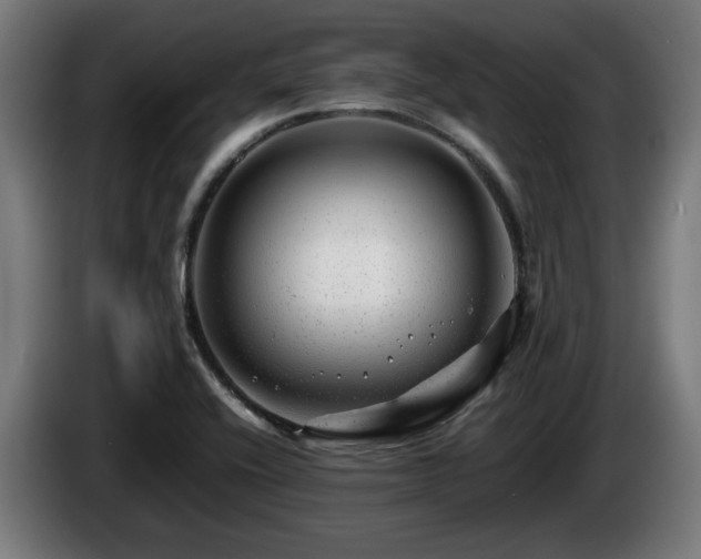 X0000086081416200703301118