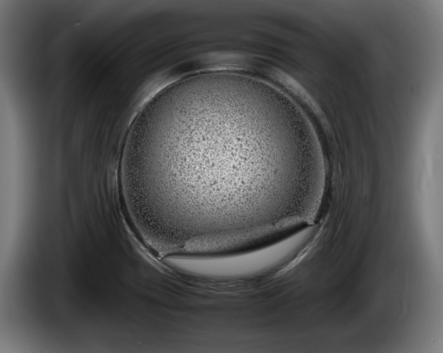 X0000086081417200703301118