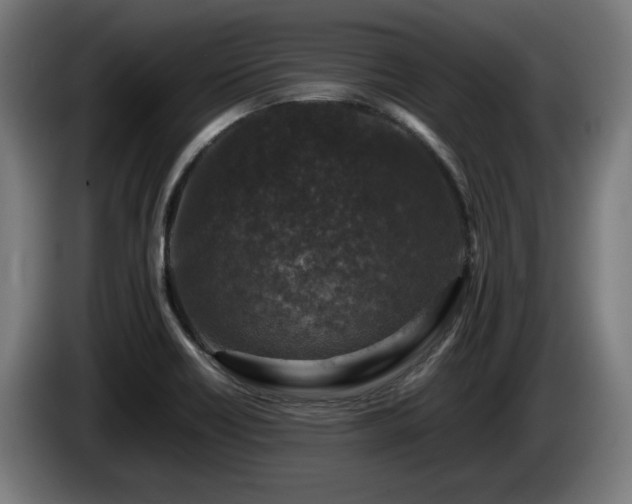 X0000086081418200703301118