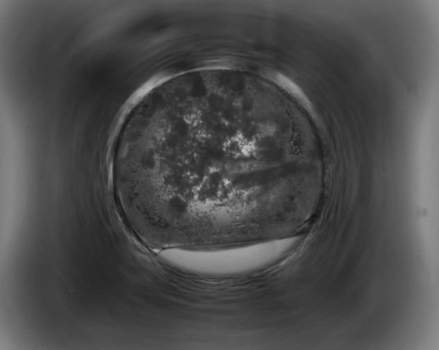 X0000086081419200703301118