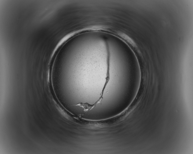 X0000086081420200703301118