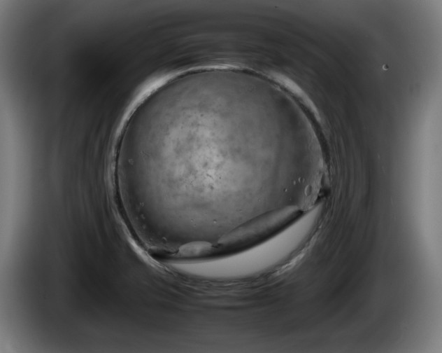 X0000086081421200703301118